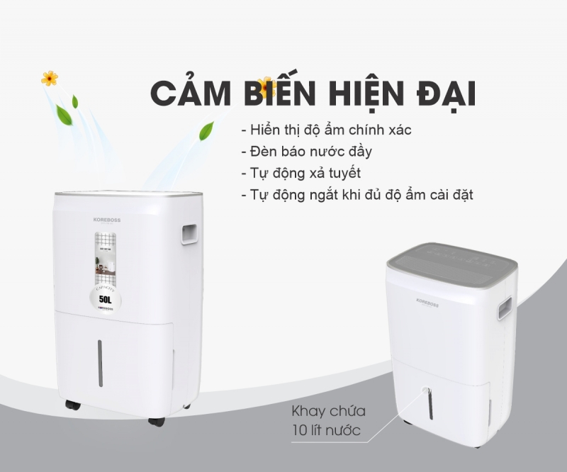 Quá trình xử lý nồn ẩm, ẩm mốc, bảo vệ an toàn sức khỏe